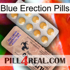 Blue Erection Pills 41